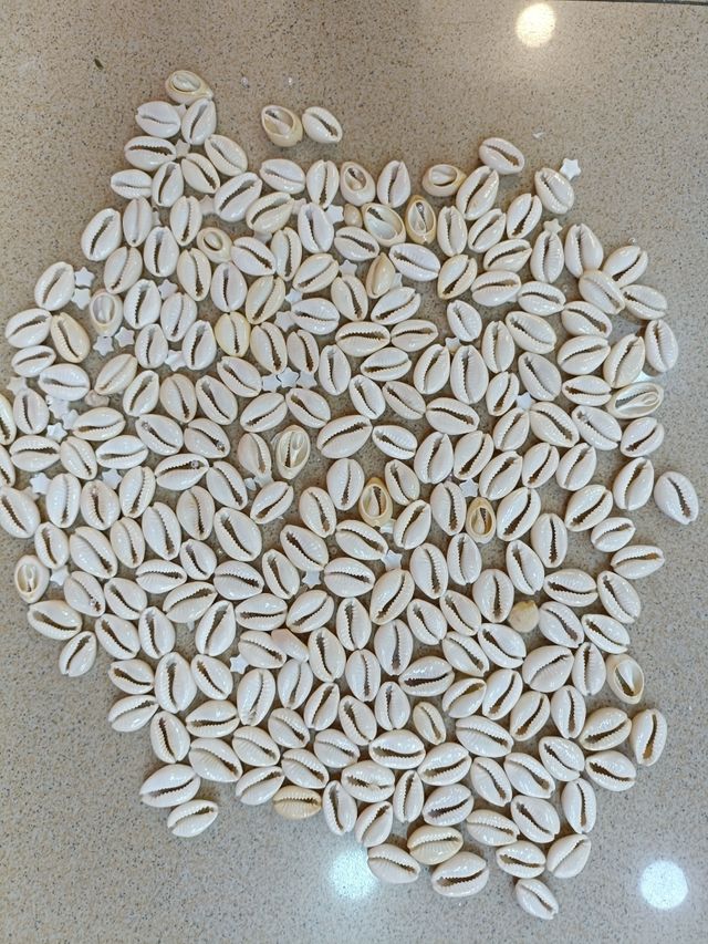 Caracoles bisutería material joyeria