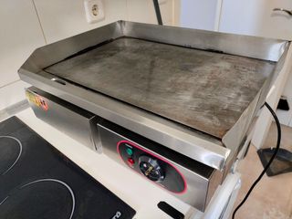 Plancha eléctrica profesional 