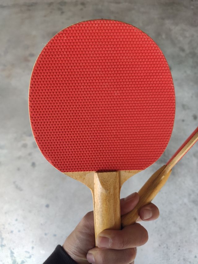 2 Racchette Ping-pong