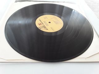 Chapman / Withney - Streetwalkers