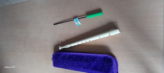 Vendo Flauta con estuche😃