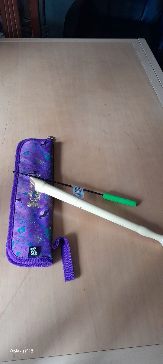 Vendo Flauta con estuche😃