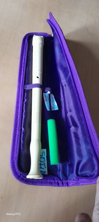 Vendo Flauta con estuche😃