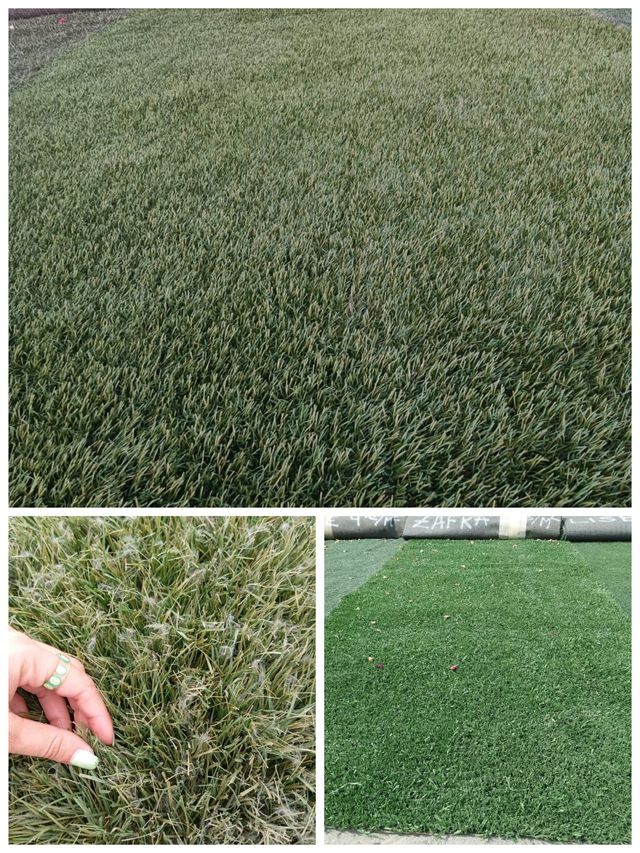 Césped Artificial Reciclado