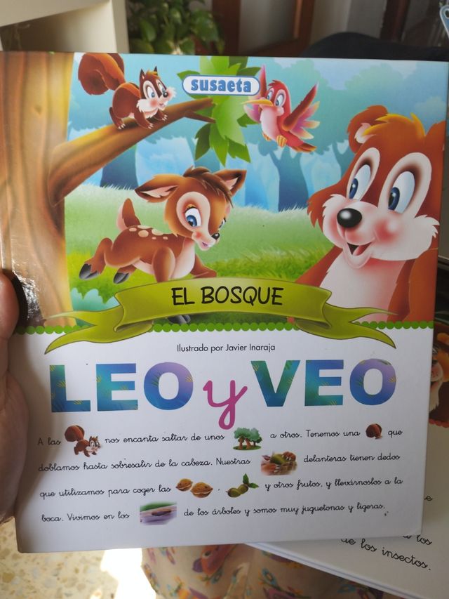 El bosque