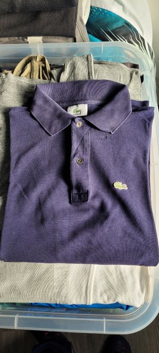 Polo Lacoste verdadero