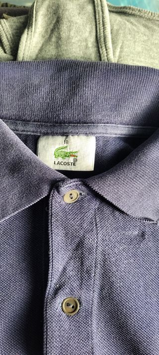 Polo Lacoste verdadero