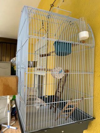 Jaula loros