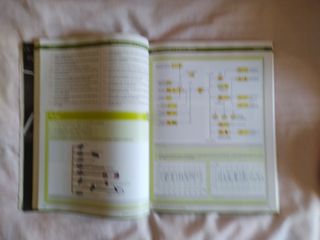 Libro Circuitos eléctricos auxiliares del vehiculo