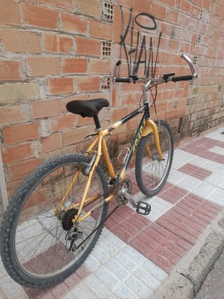 Bicicleta
