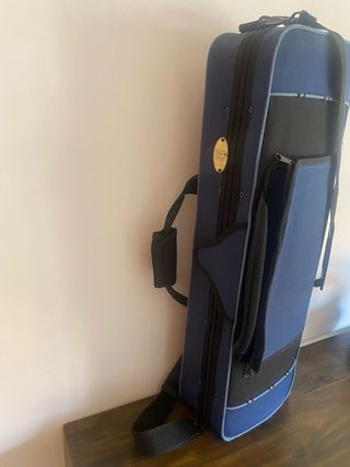 Violin +estuche