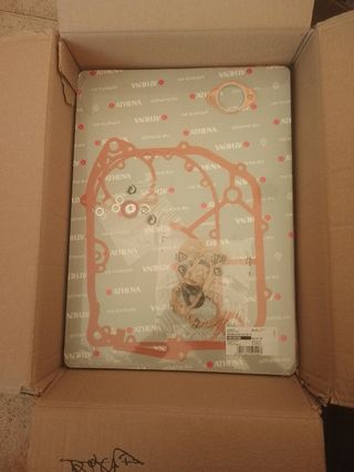 Guarnizioni Aermacchi 250