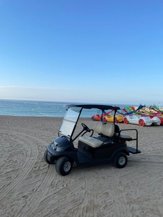 buggies de golf