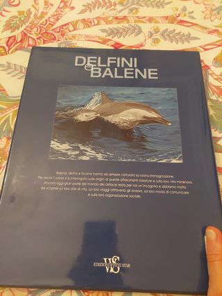 Libro Delfini e Balene