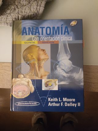 Anatomia con orientacion clinica / Clinically Oriented Anatomy (Spanish Edition)