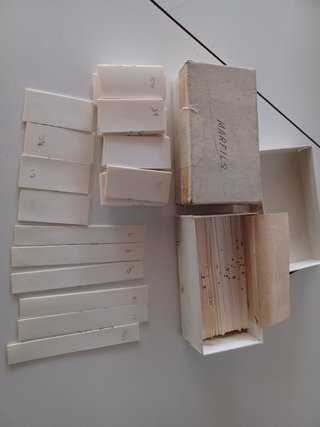 Teclas de marfil de piano