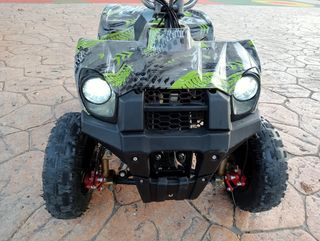 Quad eléctrico