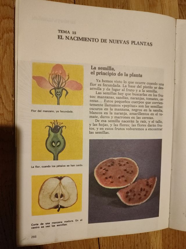 EGB AÑOS 70 SANTILLANA_ CONSULTA 3