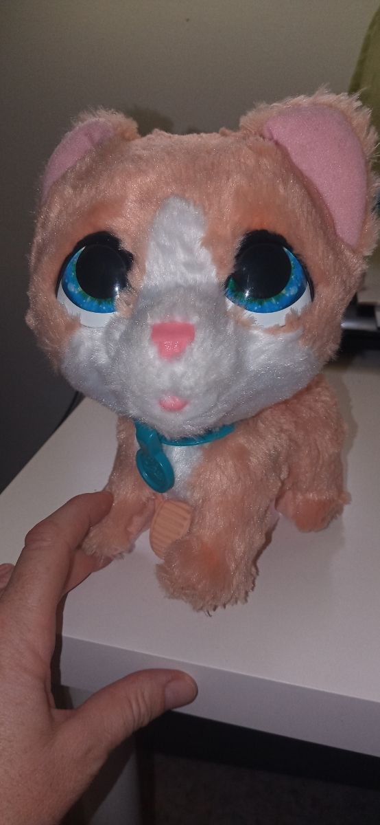 Gato peluche full real