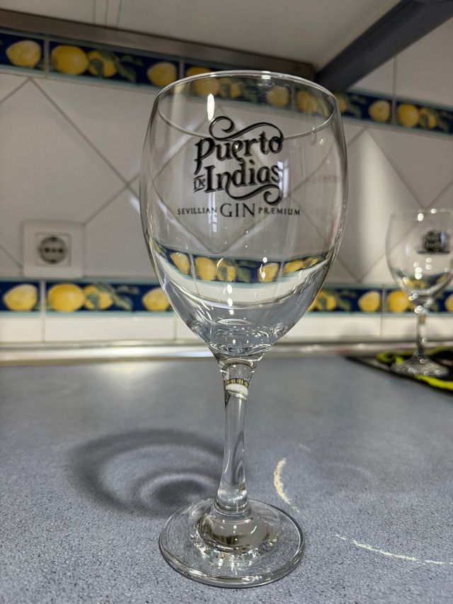 Copa Puerto de Indias