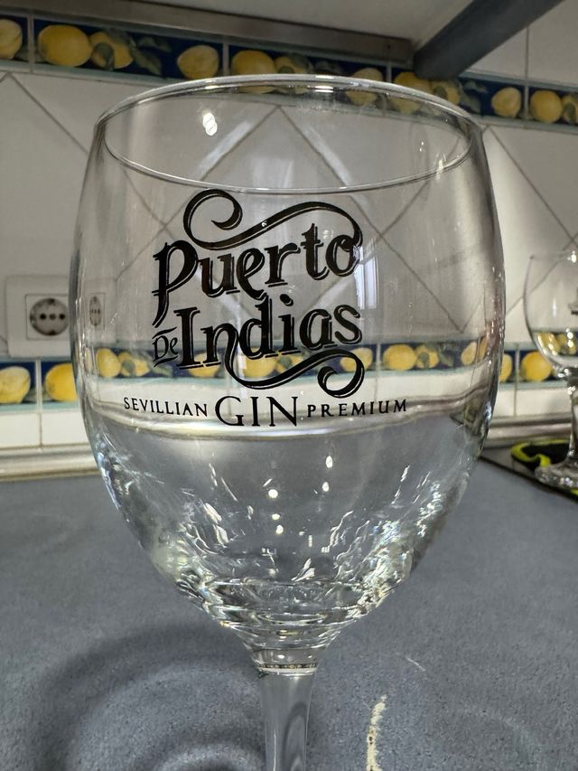 Copa Puerto de Indias