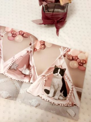 Crías de animales libros de pegatinas.