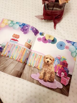 Crías de animales libros de pegatinas.