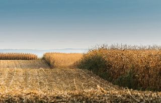 Terreno en Hoya Gonzalo.