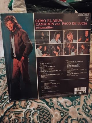 Se venden discos de vinilo 