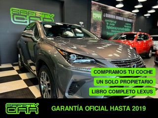 Lexus NX 300h Executive Navigation 145 kW (197 CV)