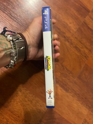 Crash bandicoot