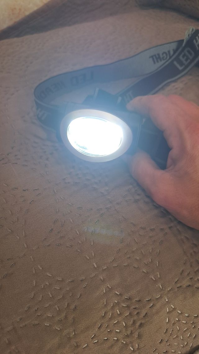 Lampada torcia da testa