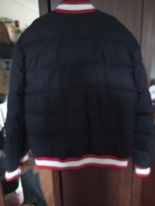 Bomber universitaria T.L