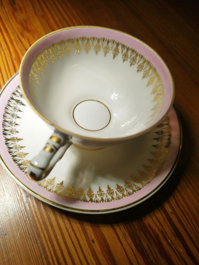 Juego café finisima porcelana Jäger