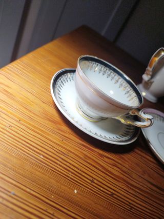 Juego café finisima porcelana Jäger