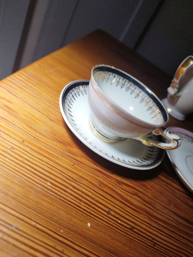 Juego café finisima porcelana Jäger