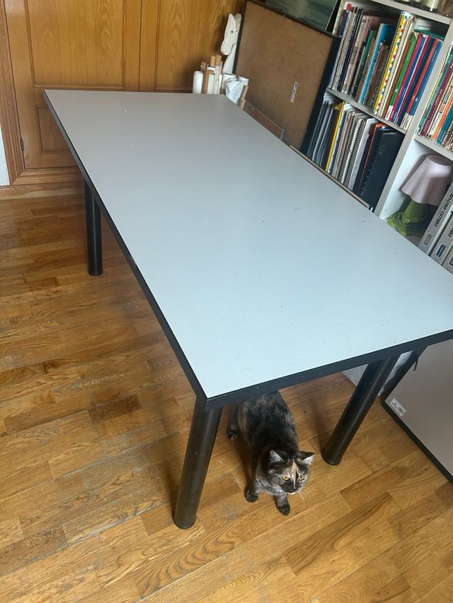 Mesa estudio academia