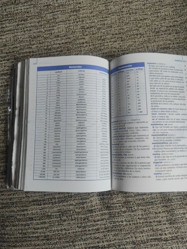 DICCIONARIO PRIMARIA 