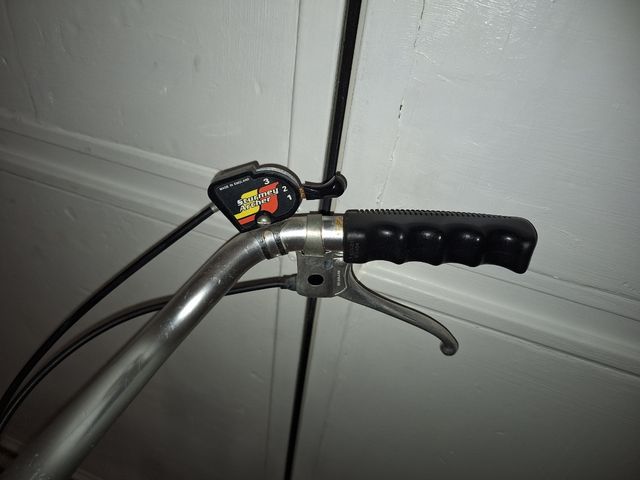 Bicicletta Alpina Vintage