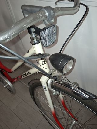 Bicicletta Alpina Vintage
