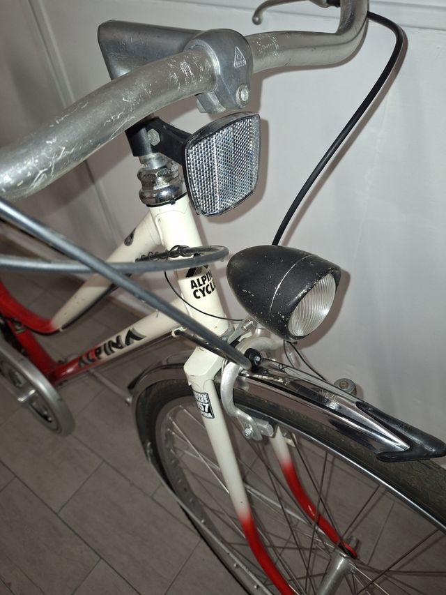 Bicicletta Alpina Vintage