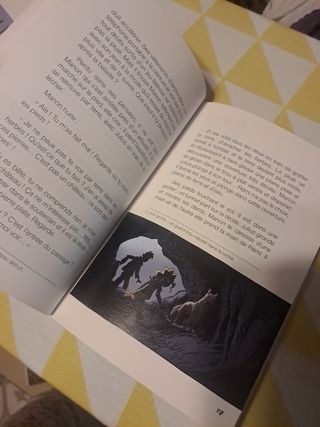 Rémi et le mystère de Saint-Péray. Bibliojeunes. Niveau A1