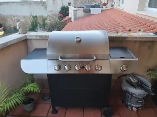 Barbacoa de gas gas