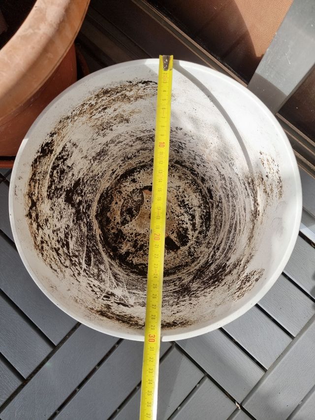 Pentola, pentola o pietra