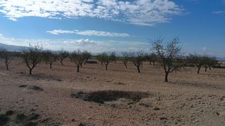 Terreno en en Yecla a 14 km
