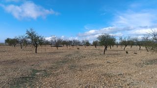 Terreno en en Yecla a 14 km