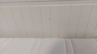 Divan Hemnes Ikea y opcion de 2 colchones