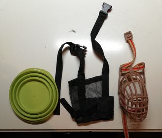 Accessori per cani