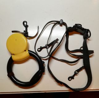 Accessori per cani