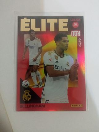 MGK 12/13 lote de 95 cromos+ 2cromos de bellingham